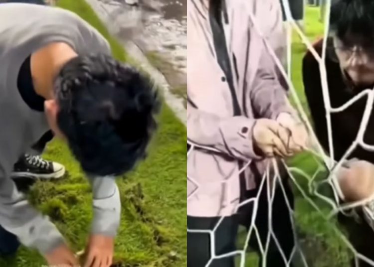 Perayaan Juara Persib Tercoreng Aksi Perusakan oleh Oknum Bobotoh di GBLA