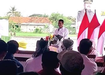 Dunia Krisis Pangan, Indonesia Jadi Rujukan Berkat Birokrasi Pupuk Langsung ke Petani