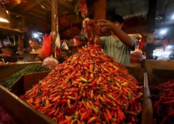 Bekasi Alami Deflasi 4.8 Persen, Harga Cabai dan Bawang Turun Tajam