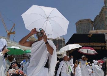 Jelang Puncak Haji, Timwas DPR Imbau Jemaah Siapkan Fisik dan Mental Secara Optimal