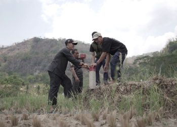 Kementerian ATR/BPN Canangkan GEMAPATAS 2025 Serentak di 23 Kabupaten/Kota