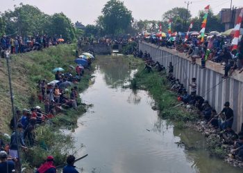 Ribuan Warga Padati Festival Kali Gabus, 2 Ton Ikan Ditebar
