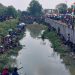 Ribuan Warga Padati Festival Kali Gabus, 2 Ton Ikan Ditebar