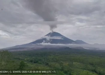 Gunung Semeru Berstatus Awas, 32 Gempa Guguran Tercatat dalam Enam Jam