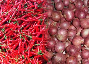 Bapanas Rilis Harga Cabai Rawit dan Bawang Merah Turun Nasional