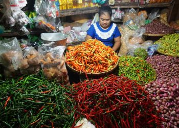 Harga Cabai di Kota Bekasi Melonjak hingga Rp120 Ribu per Kilogram