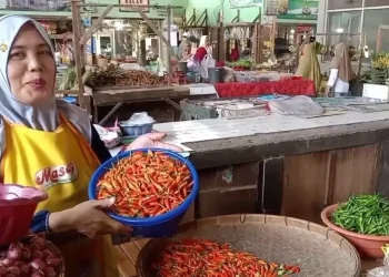 Harga Cabai Rawit Merah Melonjak Drastis pada Hari Keempat Ramadan 1447 Hijriah