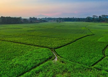 Kementerian ATR/BPN Perkuat Legalitas Ruang Kawasan Strategis Papua Selatan