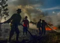 Karhutla Kalimantan Meluas, Pemerintah Catat Kualitas Udara Kategori Berbahaya
