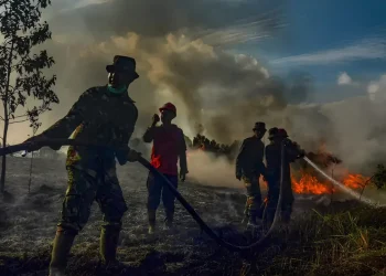 Karhutla Kalimantan Meluas, Pemerintah Catat Kualitas Udara Kategori Berbahaya