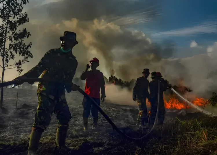 Karhutla Kalimantan Meluas, Pemerintah Catat Kualitas Udara Kategori Berbahaya