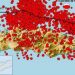 BMKG Catat 3.055 Gempa Susulan Guncang Flores, Terbesar Magnitudo 6,2