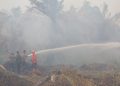 Kualitas Udara Memburuk akibat Karhutla, DPR RI Minta Pemerintah Bertindak Cepat