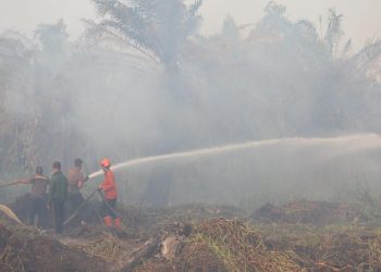 Kualitas Udara Memburuk akibat Karhutla, DPR RI Minta Pemerintah Bertindak Cepat