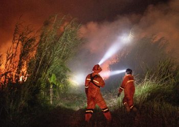 Titik Panas Karhutla Naik di Kalimantan, BNPB Ingatkan Ancaman Asap Pekat
