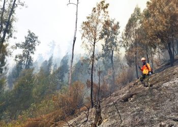 Kabut Asap Sumatera Terpantau di Riau, BMKG Catat 3.734 Titik Panas