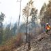Kabut Asap Sumatera Terpantau di Riau, BMKG Catat 3.734 Titik Panas