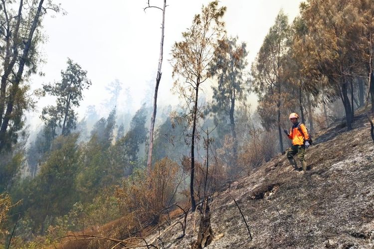 Kabut Asap Sumatera Terpantau di Riau, BMKG Catat 3.734 Titik Panas